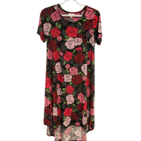 2/$40 🏷 Lularoe Rose Print Carly Dress Size XXS - Picture 1 of 3